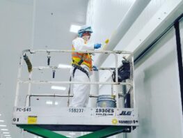  Maintenance Painting Services