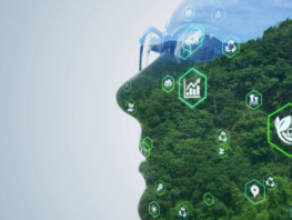  Pioneering Sustainability in Coating Solutions