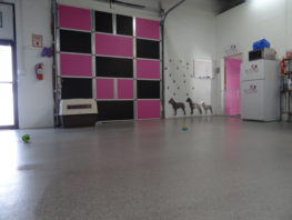  Animal Care