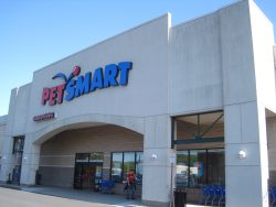 Front View of Pet Smart from parking lot.